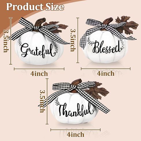 TURNMEON Fall Decorations-Set of 3 Thankful Grateful Blessed Resin Artificial Pumpkins Decor, Fall Thanksgiving Pumpkin Centerpiece for Thanksgiving Table Decorations Autumn Harvest Home Decor, White in Saudi Arabia