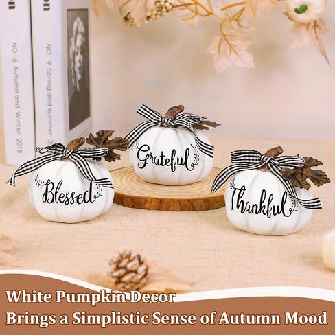 TURNMEON Fall Decorations-Set of 3 Thankful Grateful Blessed Resin Artificial Pumpkins Decor, Fall Thanksgiving Pumpkin Centerpiece for Thanksgiving Table Decorations Autumn Harvest Home Decor, White in Saudi Arabia