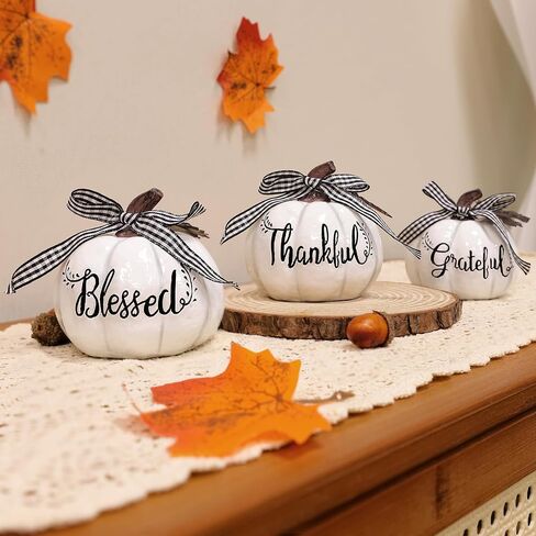 TURNMEON Fall Decorations-Set of 3 Thankful Grateful Blessed Resin Artificial Pumpkins Decor, Fall Thanksgiving Pumpkin Centerpiece for Thanksgiving Table Decorations Autumn Harvest Home Decor, White in Saudi Arabia