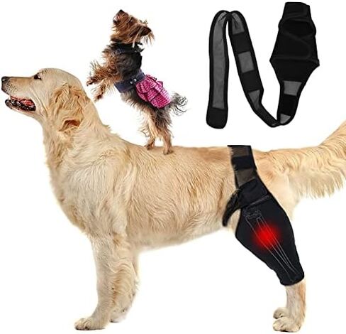 Dog Elbow Brace Protector Pads, Provides Support Breathable Dog Elbow Protector Pads for Prevents Injuries Elbow Calluses (S) in Saudi Arabia