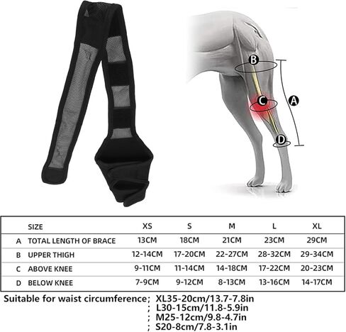 Dog Elbow Brace Protector Pads, Provides Support Breathable Dog Elbow Protector Pads for Prevents Injuries Elbow Calluses (S) in Saudi Arabia