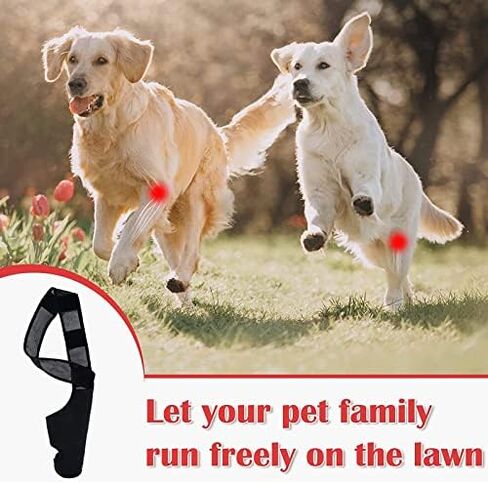 Dog Elbow Brace Protector Pads, Provides Support Breathable Dog Elbow Protector Pads for Prevents Injuries Elbow Calluses (S) in Saudi Arabia