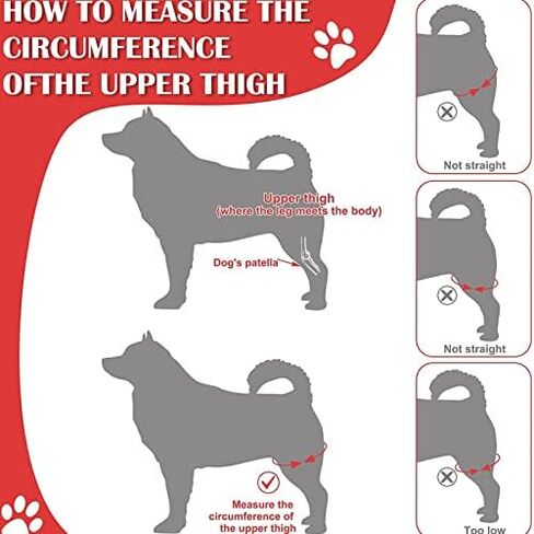 Dog Elbow Brace Protector Pads, Provides Support Breathable Dog Elbow Protector Pads for Prevents Injuries Elbow Calluses (S) in Saudi Arabia