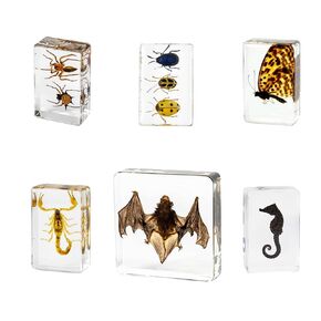 Insect Resin Specimen-Taxidermy Bat,Scorpion,Butterfly,Ladybug in Preserved Resin for Oddity Gifts,Scientific Educational, Biology Classroom,Entomology Supplies,Decor(6 Pcs)
