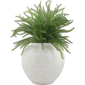 12 Pieces Christmas Norfolk Pine Branch 36 Inch Norfolk Pine Stems Artificial Norfolk Christmas Greenery Plants DIY Crafts Faux Pine Branches for Xmas Home Decor Garland Wreath Craft