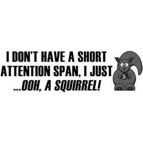 I Don't Have a Short Attention Span, I just Oooh Squirrel Bumper Sticker (Funny Humor ADHD add Vinyl Decal for car or Truck)