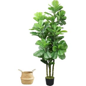 6ft Artificial Fiddle Leaf Fig Tree in Pot,Faux Fiddle Leaf Fig Tree,Large Artificial Tree for Living Room Office Home Decor and Housewarming Gift (2 Pack)