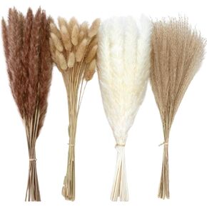 300 Pcs Dried Pampas Grass Bulk, Natural Brown Pampas Grass Decor Bunny Tails Reed Grass Fluffy Pampas Grass Bouquet Dried Wedding Flowers for Party Home Fall Decoration Boho Flowers