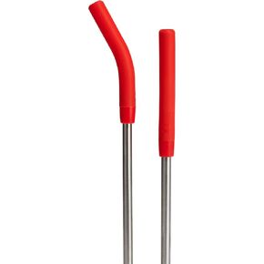 Hydro Flask Stainless Steel Straw Set Goji