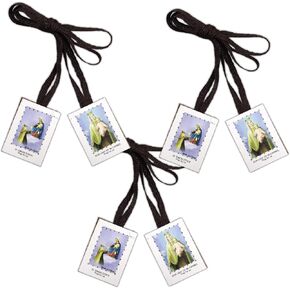 Needzo Traditional Brown Cloth Scapular, St. Simon and Our Lady of Mt. Carmel, 18.5 Inches (Pack of 3)