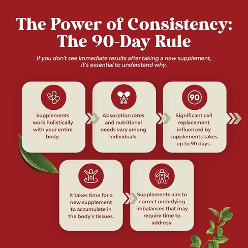 مكملات دعم الأوردة للساق والأوردة - مكمل للدورة الدموية لكامل الجسم للعروق العنكبوتية والدوالي وتحسين التدفق مع مستخلص كستناء الحصان والفلافونويد - قبعات نباتية صغيرة غير معدلة وراثيًا (شهر واحد) in Kuwait