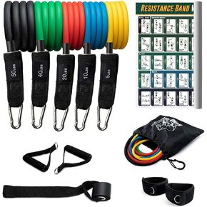 12 Pc Resistance Bands Set - 5 Workout Bands, Cushioned Ankle Straps, Padded Handles, Door Anchor & Waterproof Gym Bag - Home Exercise, Strength Training, Physical Therapy, Yoga Fitness Gear