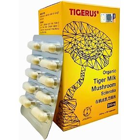 TIGERUS® 300mg Organic Tiger Milk Mushroom Sclerotia 60’s – Natural Immune Booster, Supports Respiratory Health, 100% Organic & Pure, Made in Malaysia, 60 Veggie Capsules for Daily Wellness