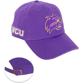 صبار الصحراء جامعة كارولينا الغربية قبعة بيسبول Catamounts WCU الحواف قبعات مطرزة قبعة حزام قماش قابل للتعديل للبالغين (نمط E) أرجواني