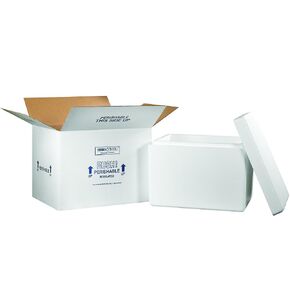 Aviditi Insulated Carton with Foam Shipping Kit, 21 1/4" x 15 1/2" x 15 1/2", White, For Shipping Temperature Sensitive Items (1 Kit)
