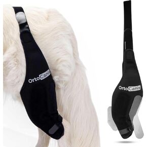Ortocanis Dog Knee Brace for Torn Acl Hind Leg, Ligament Rupture and Patella Luxation - Dog Acl Knee Brace - Dog Braces for Back Leg for Support - Dog Back Leg Support Brace (Size L, Right Leg)