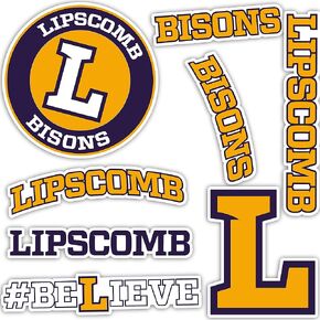 Desert Cactus Lipscomb University Stickers Bisons Vinyl Decals Laptop Water Bottle Car Scrapbook 13.43x10.98 Sheet T2 (Type 2)