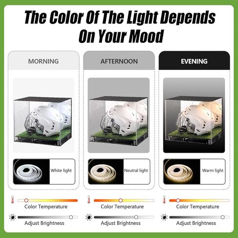 Kigley LED Football Helmet Display Case LED Tricolor Light Strip Full Size Acrylic Helmet Display Case with Mirrored Back with Turf Grass UV Protected Helmet Holder Base for Memorabilia Collectibles in Kuwait