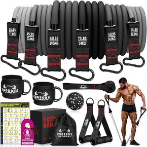 Resistance Bands,300LBS Exercise Bands with Handles,Workout Bands with Door Anchor and Ankle Straps,Heavy Fitness Bands for Training,Physical Therapy, Shape Body, Yoga, Home Workout