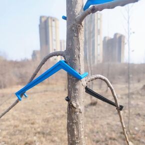 WANLIAN The Fruit Branch Spreader Forms Stronger Branches on Apples and Other Fruit Trees to Support The Growth of New Branches, Branch Support(Blue 30 Pieces)