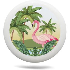 Sun and Snowflake Outdoor Flying Disc Hot and Cold Summer and Winter Element Ultimate Disc 175g for Boys Girls Men Women Birthday Christmas