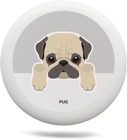 Sun and Snowflake Outdoor Flying Disc Hot and Cold Summer and Winter Element Ultimate Disc 175g for Boys Girls Men Women Birthday Christmas in Saudi Arabia