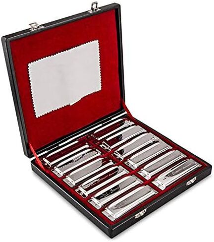 SWAN Harmonica Set 7 Keys A B C D E F G 10 Hole 20 Tones Harmonica Blues Mini Harmonica for Adult, Professional Player,Beginner,Students with Case Bag (Silver 7 key (A B C D E F G)) in Saudi Arabia