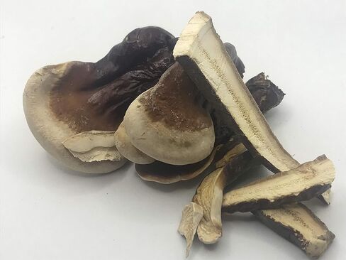 Great Lakes Treats Wild Foraged Reishi 3oz dried slices Ganoderma tsugae harvested in Michigan in Saudi Arabia