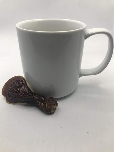 Great Lakes Treats Wild Foraged Reishi 3oz dried slices Ganoderma tsugae harvested in Michigan in Saudi Arabia
