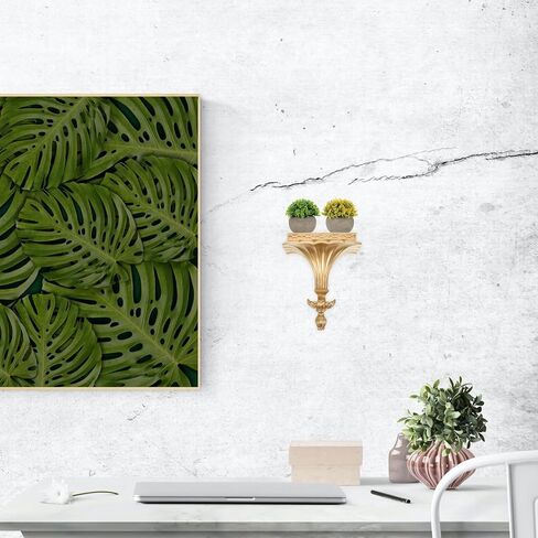 Garneck Wall Hanging Living Room Decorations Shelfs Storage Shelves European Floating Shelf Storage Holder Sundries Holder Living Room Storage Rack Hanging Board Sofa Wall Mount Resin in Saudi Arabia