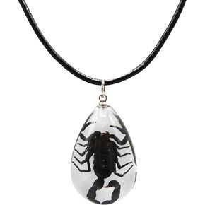 Fablinks Real Scorpion Necklace for Men, Genuine Bug Jewelry for Teens, Scorpio Necklaces for Women (Scorpion - Black Leather)