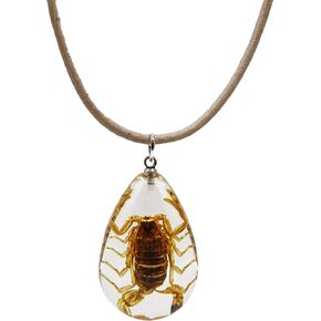 Fablinks Real Scorpion Necklace for Men, Genuine Bug Jewelry for Teens, Scorpio Necklaces for Women (Scorpion - Black Leather)