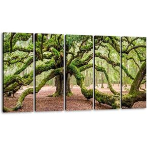 KiiAmy 5 Panels Art Wall Decor angel oak tree johns island south carolina sc majestic Artwork Modern Canvas Prints Office Bedroom Home Decor Framed Painting Ready to Hang (60''Wx32''H)