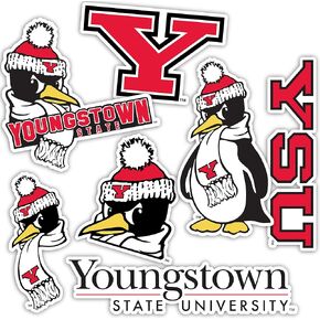 Desert Cactus Youngstown State University Stickers YSU Penguins Vinyl Decals Laptop Water Bottle Car Scrapbook 13.46x10.98 Sheet T2 (Type 2)