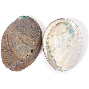 AHANDMAKER 2 Pieces Abalone Shell 3-4.5 inch Polished Abalone Shell White Sage Burner Holder Smudge Bowl Incense Burner for White Sage Decorate for Fish Tank View