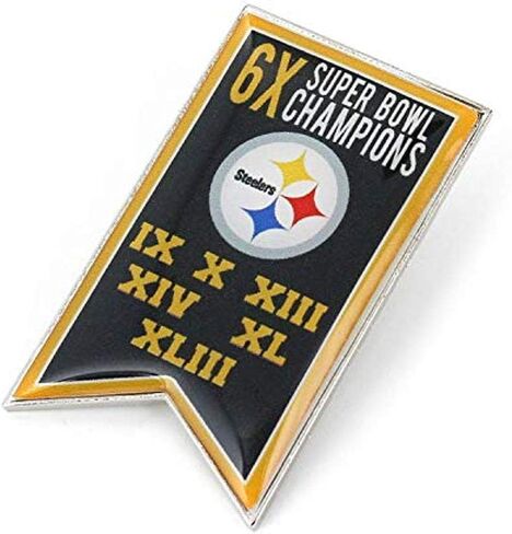 aminco NFL unisex-adult NFL Championship Banner Pin in Saudi Arabia