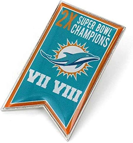 aminco NFL unisex-adult NFL Championship Banner Pin in Saudi Arabia