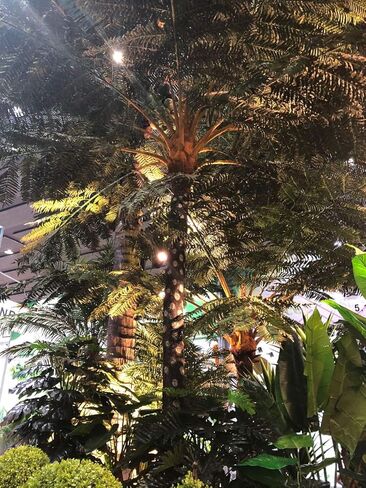 AMERIQUE Nuresery Tech، مع حزمة من 2 نبات اصطناعي رائع وفريد ​​من نوعه بطول 5 أقدام من الحرير الأرجواني مع وعاء بلاستيكي للحضانة، تقنية اللمس الحقيقي، مع حماية من الأشعة فوق البنفسجية، جودة فائقة in Kuwait