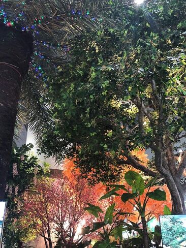 AMERIQUE Nuresery Tech، مع حزمة من 2 نبات اصطناعي رائع وفريد ​​من نوعه بطول 5 أقدام من الحرير الأرجواني مع وعاء بلاستيكي للحضانة، تقنية اللمس الحقيقي، مع حماية من الأشعة فوق البنفسجية، جودة فائقة in Kuwait