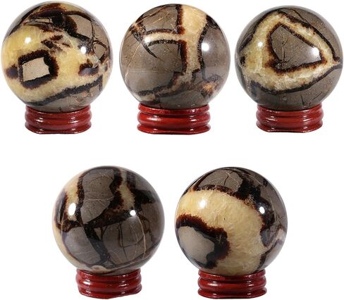 moonsix Natural Septarian Dragon Stone Sculpture Egg Shape Stone with Wooden Stand Crystal Figurine for Feng Shui Witch Decor, 2.36-2.95 inches in Kuwait