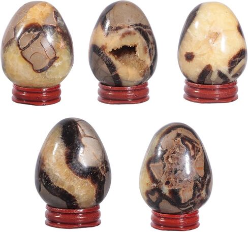 moonsix Natural Septarian Dragon Stone Sculpture Egg Shape Stone with Wooden Stand Crystal Figurine for Feng Shui Witch Decor, 2.36-2.95 inches in Kuwait