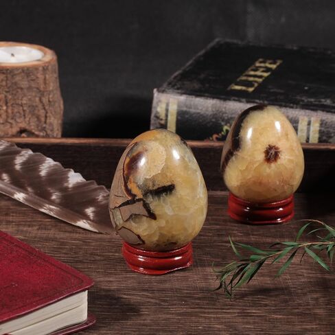 moonsix Natural Septarian Dragon Stone Sculpture Egg Shape Stone with Wooden Stand Crystal Figurine for Feng Shui Witch Decor, 2.36-2.95 inches in Kuwait