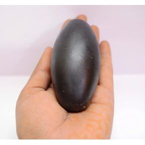 Narmada Shiva Lingam Stone 3 inch Black | Shiv Ling Energy Consecration Shiva Lingam Stone Rare Narmada Banalinga Narmadaeshwar Shivling Jyotirlinga Idol Mahakal Statue Religious worship Banalinga