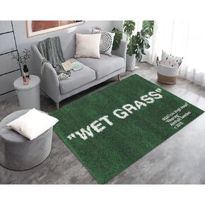 Keep Off Wet Grass Area Rugs Green 3D Printed Modern Large Carpet Non-Slip Floor Mat Rugs for Bedroom Livingroom Home Decor Mat 16"" x 24""