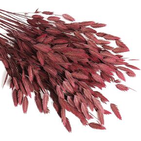 MIHUAGE Dried Preserved Oat Grass Plant for Vase - 40 PCS Northen Oat Greenery Leaf with Stem, 17" for Home Office Wedding Party Decor and DIY Arrangement(Burgundy)