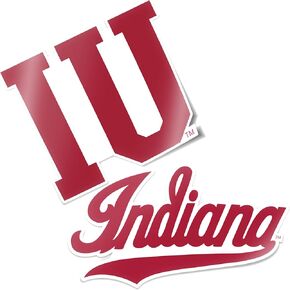 Desert Cactus Indiana University Stickers Bloomington Hoosiers Vinyl Decal Laptop Water Bottle Car Scrapbook (4 Inch Set V1)