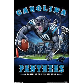 Trends International NFL Carolina Panthers - End Zone 17 Wall Poster, 22.375" x 34", Premium Unframed Version
