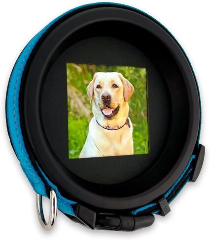 Whisker & Fang - Dog Memorial Picture Frame, Black Wall Mount, Round 18'' Circumference, Pet Memorial Frame, Dog Collar Memorial Frame, Halo Pet Frame in Saudi Arabia