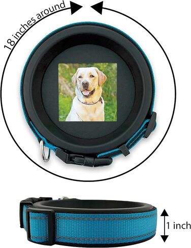 Whisker & Fang - Dog Memorial Picture Frame, Black Wall Mount, Round 18'' Circumference, Pet Memorial Frame, Dog Collar Memorial Frame, Halo Pet Frame in Saudi Arabia