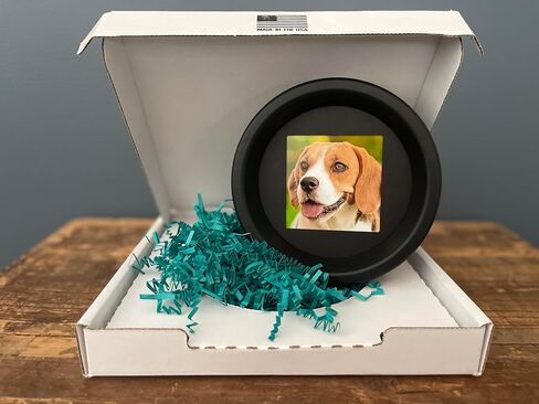 Whisker & Fang - Dog Memorial Picture Frame, Black Wall Mount, Round 18'' Circumference, Pet Memorial Frame, Dog Collar Memorial Frame, Halo Pet Frame in Saudi Arabia